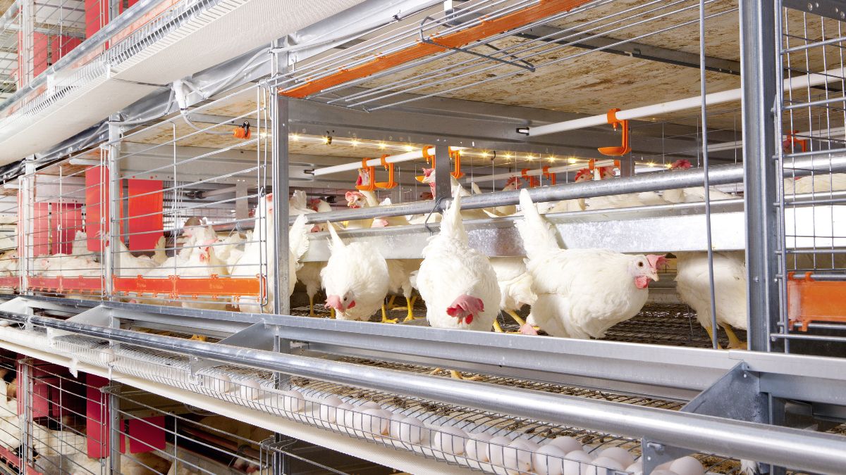 Afroming NER’s doorgevoerd, maar blijft het overeind?