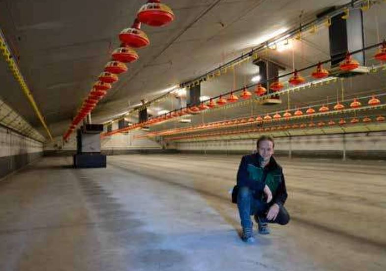 Braadkippenhouder creëert zekerheid