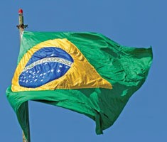 Braziliaanse pluimvee- en eierproductie blijft naar verwachting sterk stijgen in 2024