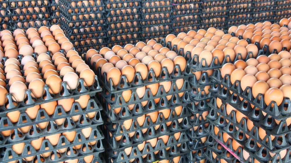 COVID-19 heeft een grote impact op de EU export en import van eieren