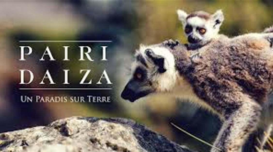 Dierenpark Pairi Daiza getroffen door H5N1