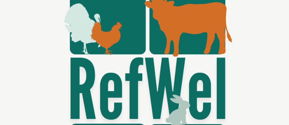 Dierenwelzijn Vlaanderen lanceert Referentiecentrum voor Welzijn van Landbouwhuisdieren 