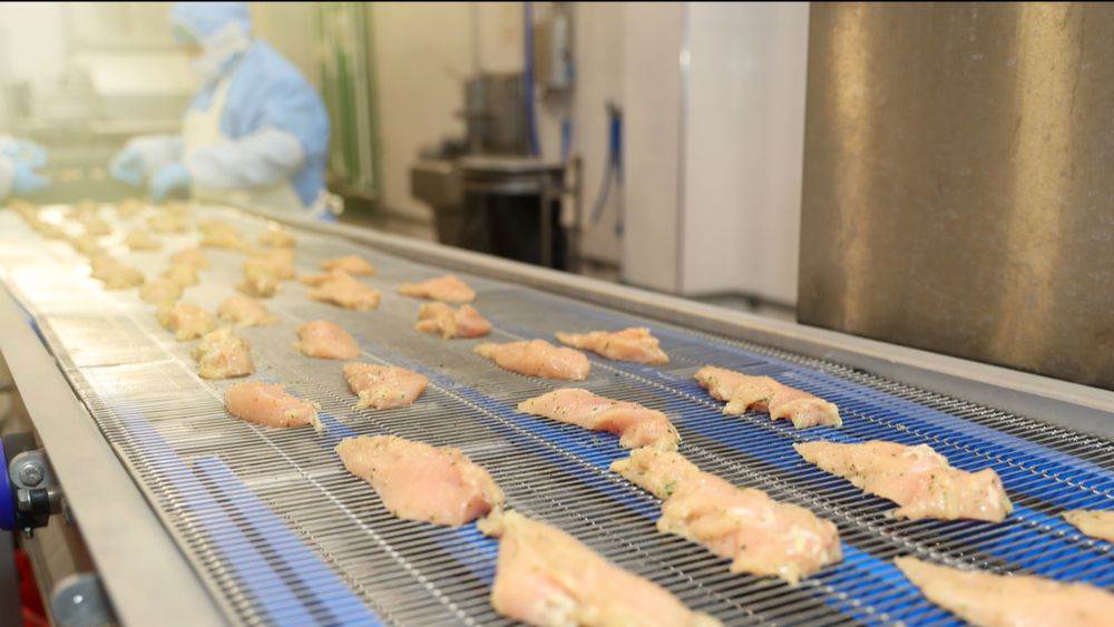 Dierlijke productie in 2034 zal wereldwijd 14% hoger liggen