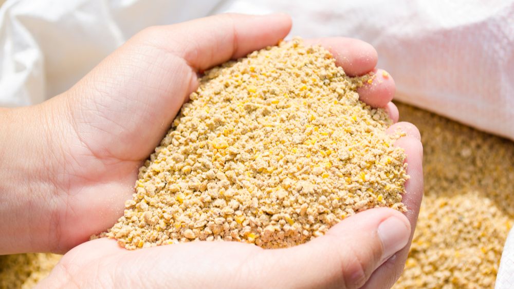 Diervoederproductie in België zakt met 6% naar 6,7 miljoen ton in 2022