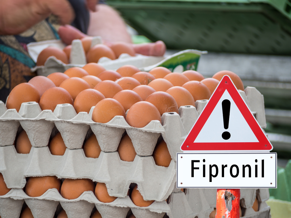 Eigenaren Chickfriend vervolgd om fipronil-affaire