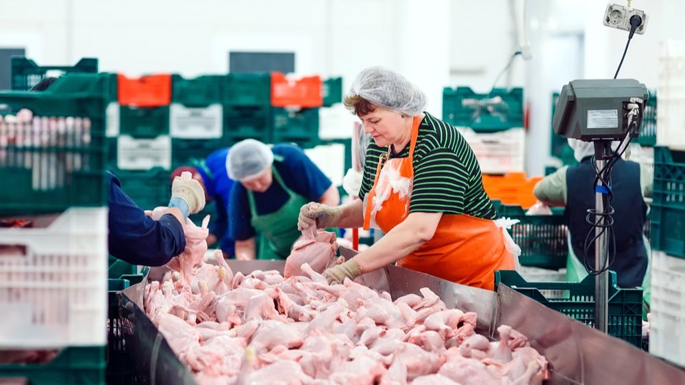 (+) EU-verbod op Braziliaans gevogelte blijft van kracht ondanks positieve audit