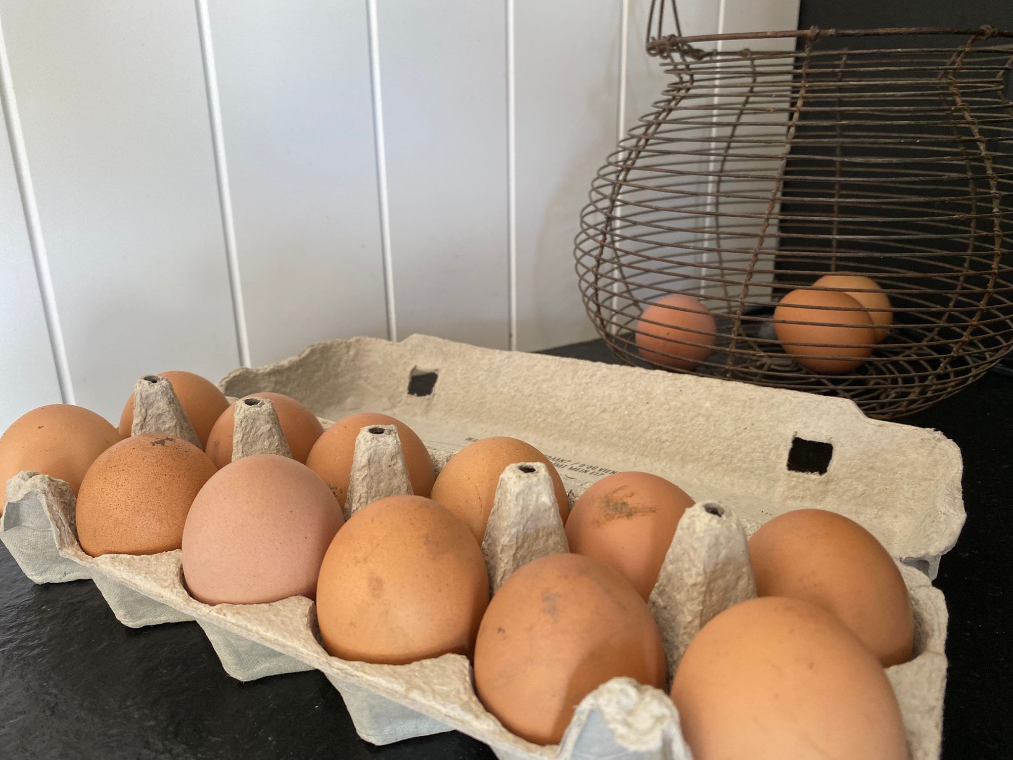 (+) Europese wetgeving inzake merken van eieren is een lekkende zeef - Survey Europese commissie bevestigd vermoeden