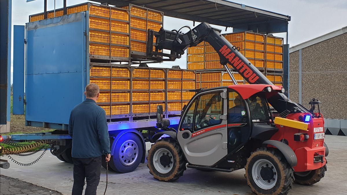 FAVV maakt bijkomende derogatie bekend op het verbod op uitladen van slachtpluimvee, eveneens als de instructies voor het slachten van pluimvee op bedrijven in de 10 km-zone rond de uitbraak in Deerlijk