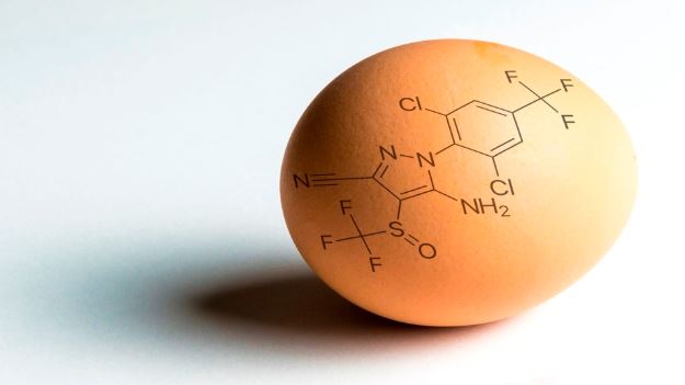 Fipronil-blokkades drijven Nederlandse pluimveehouders naar rechter