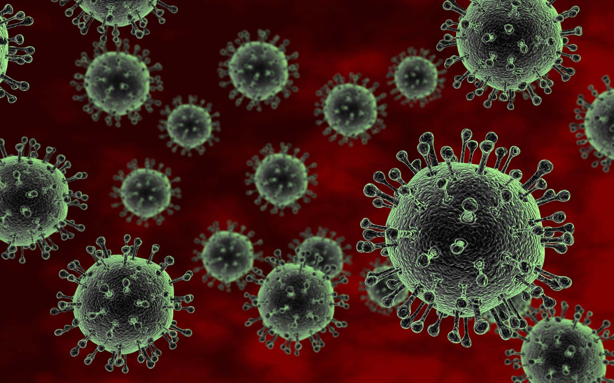 GGO-wetgeving belemmert ontwikkeling vogelgriepvaccin
