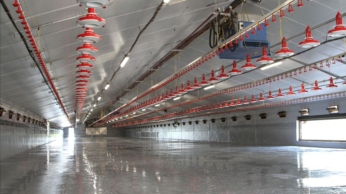 “Goedgekeurde AEA- en PAS-techniekendecreet positief voor pluimveesector”