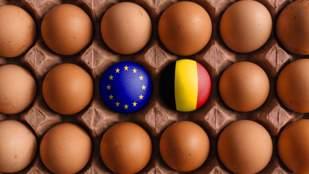 Handel als argument geen excuus voor tegenhouden kooiverbod volgens Consumentenorganisatie Foodwatch