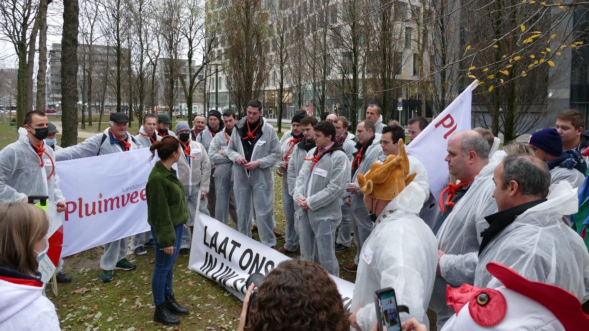 Het stikstofdossier, het hete hangijzer in de Vlaamse regering