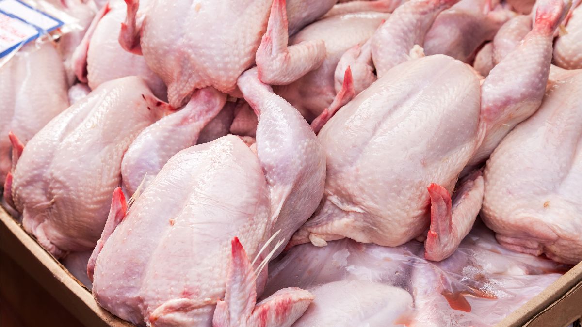 Import Braziliaans kippenvlees naar EU sterk toegenomen