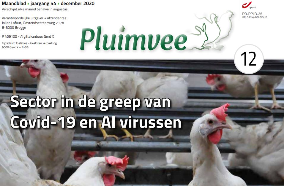Inhoud komend DECEMBER nummer Pluimvee