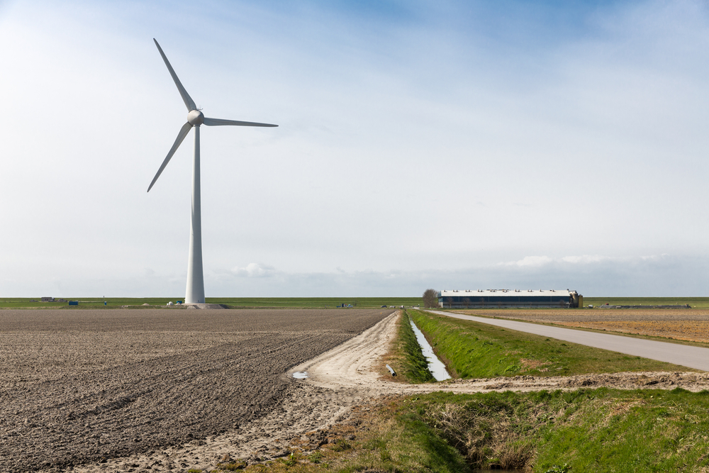 Inhoud komend FEBRUARI nummer Pluimvee