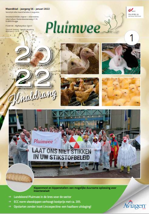 Inhoud komend JANUARI nummer Pluimvee