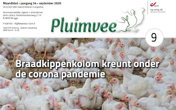 Inhoud komend SEPTEMBER nummer Pluimvee