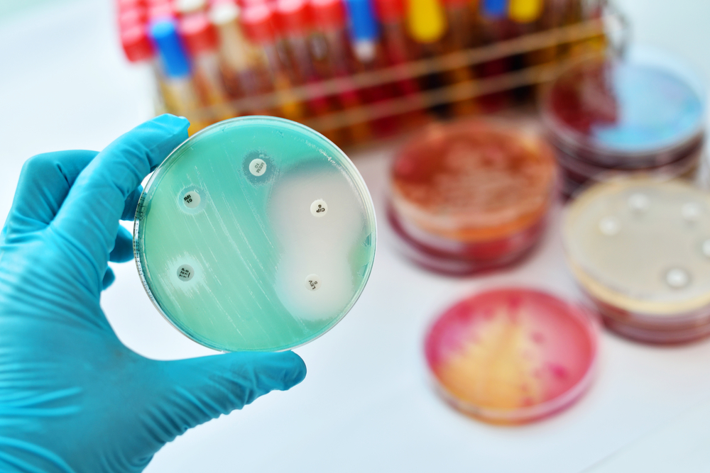 Internationale week van de sensibilisering voor verstandig gebruik van antibiotica: gunstige evoluties in de diergeneeskunde, maar bijzondere aandacht voor de pluimveesector