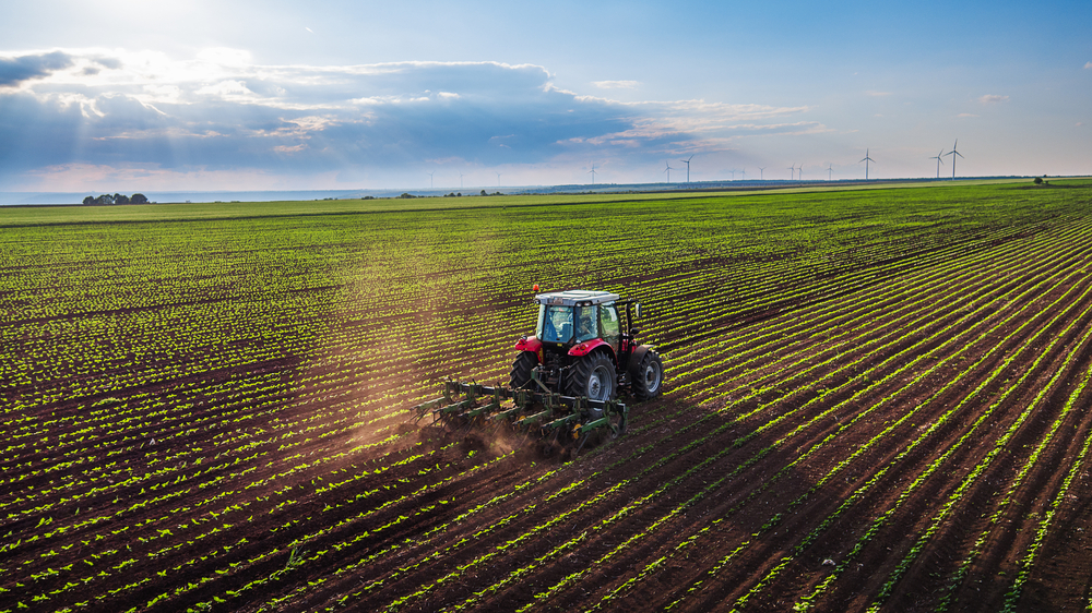 Jaarlijks 600.000 ha minder land nodig voor pluimvee