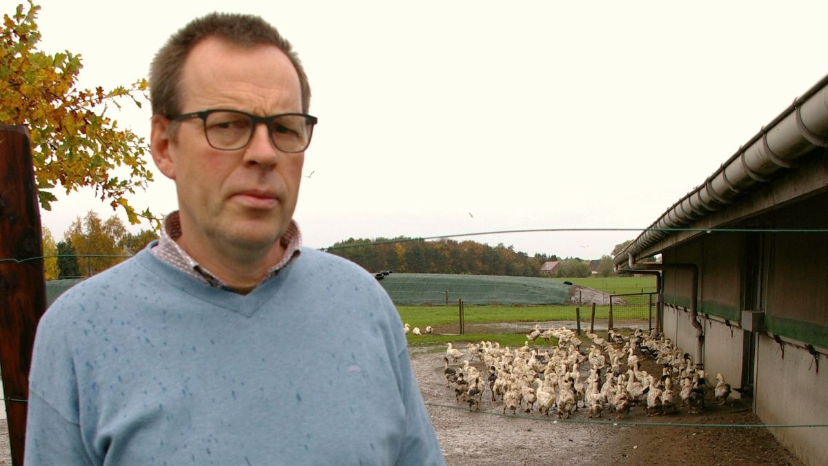 Landsbond Pluimvee interpelleert minister Geens n.a.v. nieuw incident van dierenextremisme op eendenbedrijf