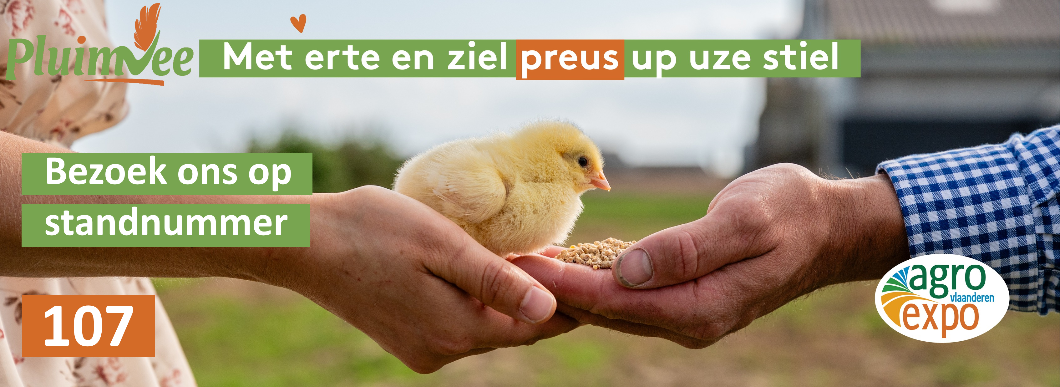Landsbond Pluimvee West-Vlaanderen tekent present op Agro Expo - Pluimvee-varkensdebat en Belplume geven Agro Expo mee kleur