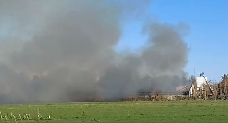 Leghennenstal gaat in vlammen op