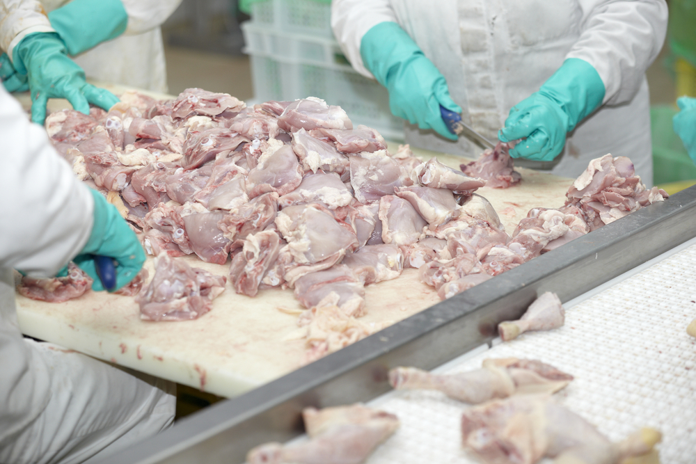 Nederlandse pluimveeslachterijen trekken controle en handhaving van Poolse kip in twijfel