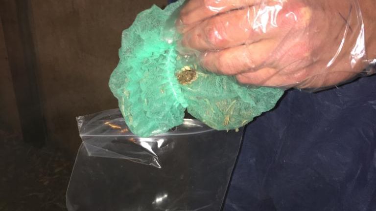 Neem Salmonellastalen best 20 dagen voor transport