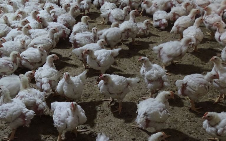 Nut van snel sturen van de productie nogmaals bewezen tijdens coronacrisis