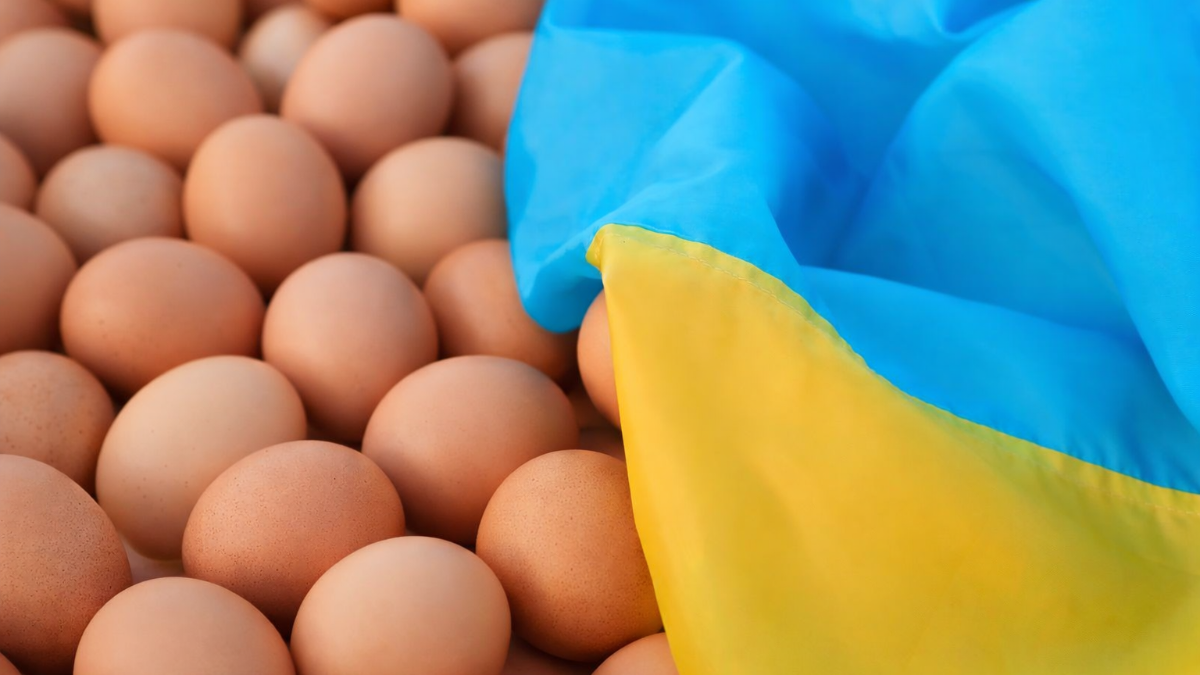 (+) Oekraïense eierexport neemt met bijna 70% toe