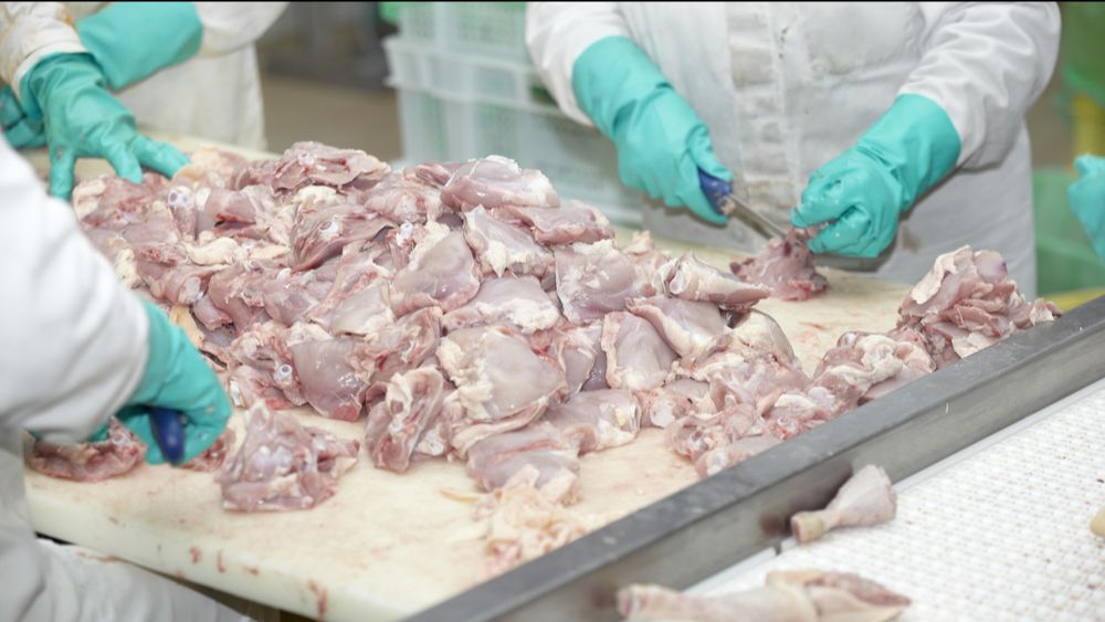 Oekraïne ziet inkomsten stijgen uit export van pluimvee