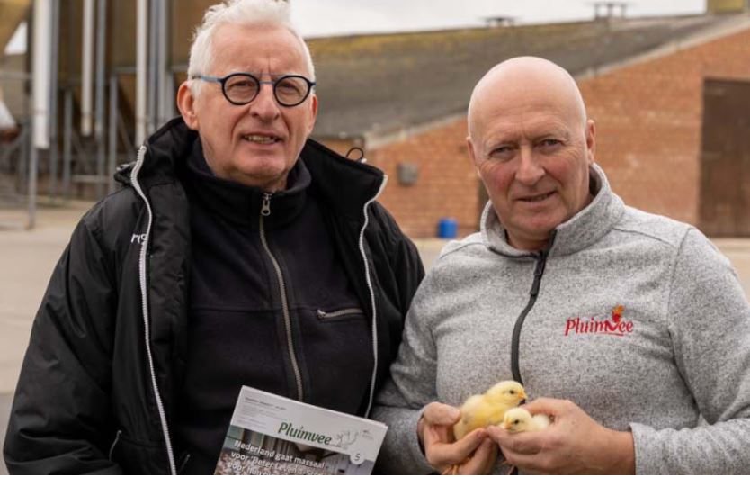 Opinie: Hoogspanning in de braadkippensector ‘Voormalig voorzitter Landsbond Pluimvee roept op tot zelfreflectie’