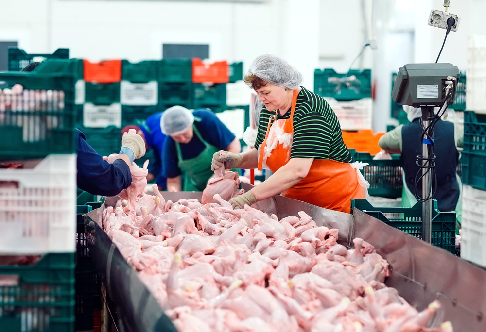 Personeel Frisia Food in Haulerwijk kan aan de slag bij Plukon