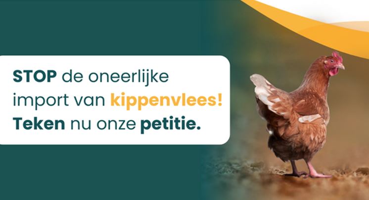 Petitie gelanceerd om oneerlijke importkip te stoppen