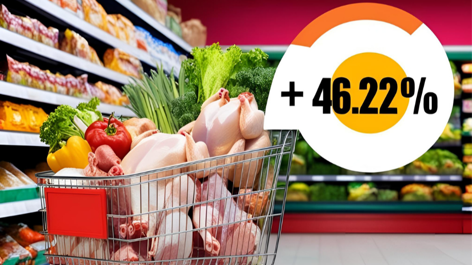 Politiek beleid naar ‘meer’ dierenwelzijn zal gezinsbudget doen ontsporen