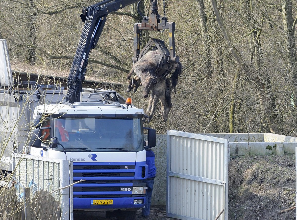 Prijzen abonnementen krengenfinanciering blijven ongewijzigd