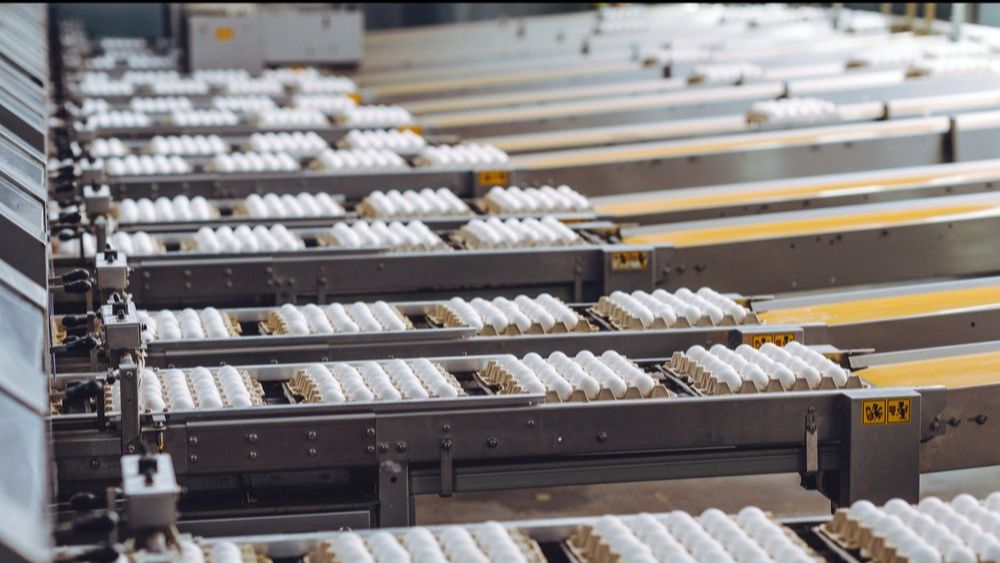 (+) Rechtbank geeft groen licht voor voortzetting schadeclaim eierkartel