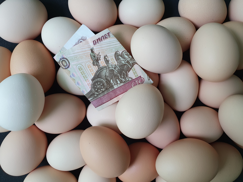 Rusland is van plan importbelasting op broedeieren te verhogen