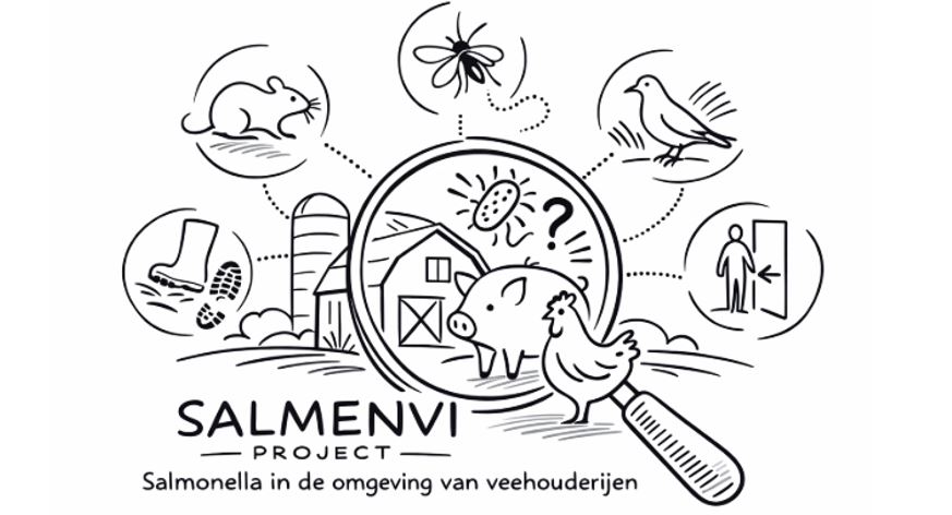 (+) Salmonella ondanks goede bioveiligheid? Help oorzaken opsporen met SALMENVI-project