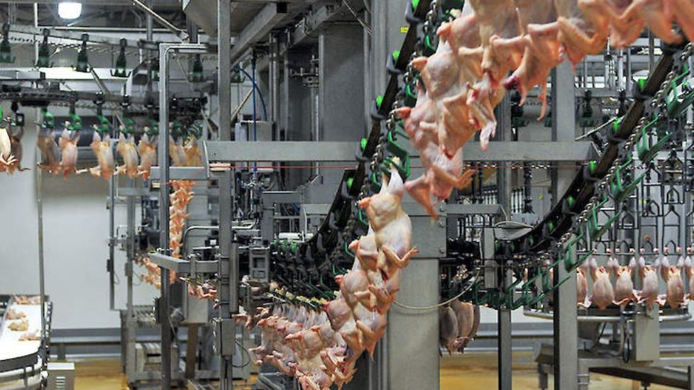 Slachthuizen waarschuwen voor capaciteitsreductie tijdens zomerverlof