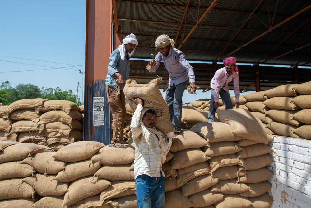Tarwe naar recordprijs na Indisch exportverbod