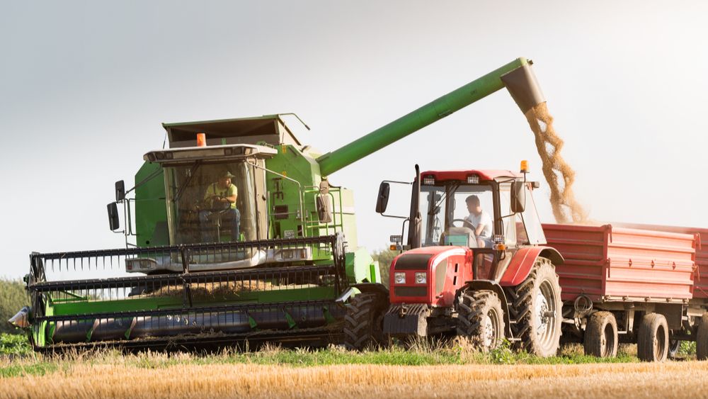 Wereldvoedselprijzen tuimelen naar beneden