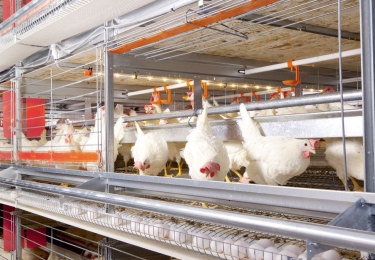 Afroming NER’s doorgevoerd, maar blijft het overeind?