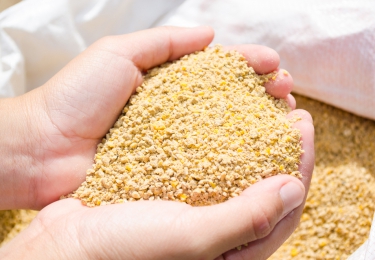Binnenkort dierlijke bijproducten in pluimveevoeder?
