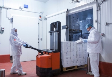 Braziliaanse export pluimveeproducten gecrasht na NCD-uitbraak