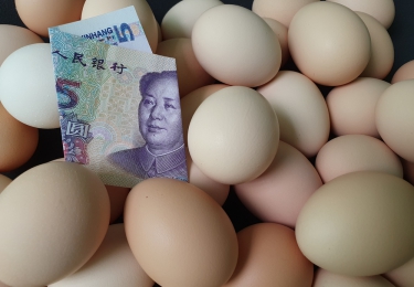 Chinese eierproductie hersteld na vogelgriep