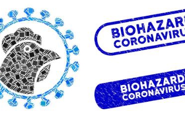 Corona en de huidige impact op de Belgische pluimveesector