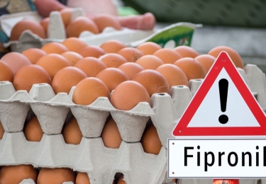 Doek valt definitief over fipronil-affaire