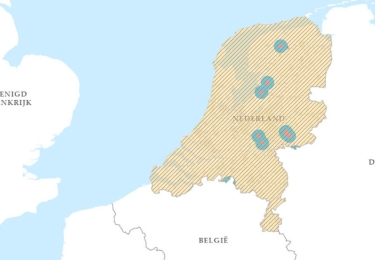 Drie nieuwe uitbraken van vogelgriep in Nederland binnen één week - België blijft alert bij veranderende windrichting